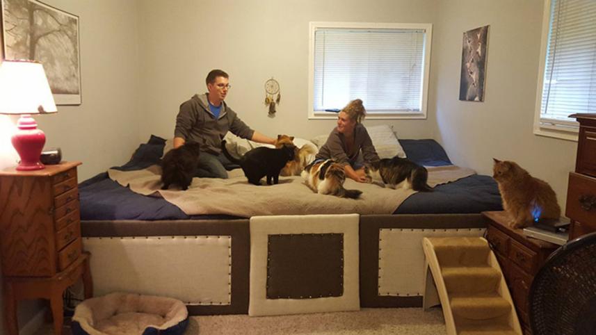 super-bed-IIWB.jpg