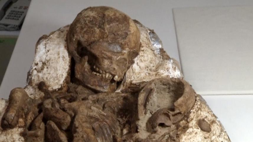 Taiwan-fossil.jpg