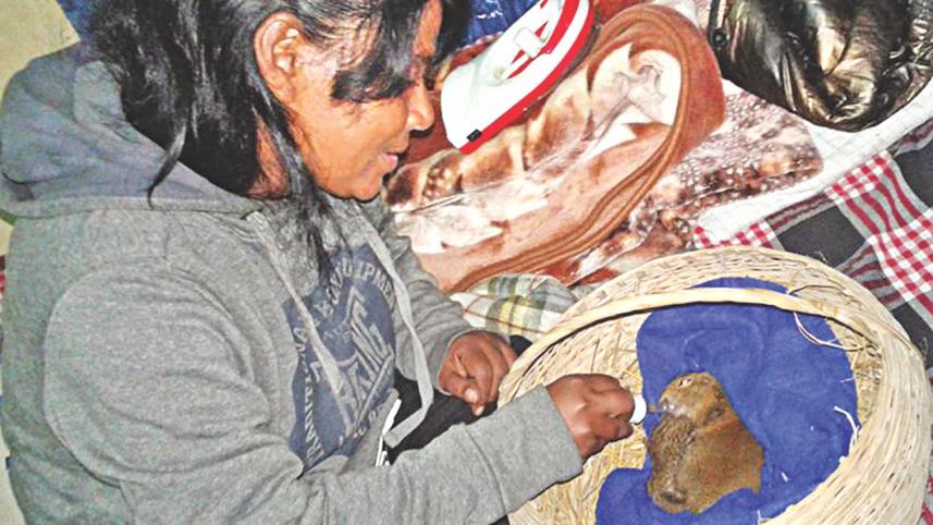 tania khan.jpg