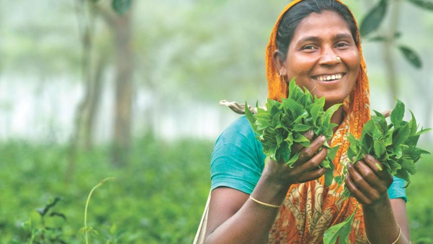Tea worker