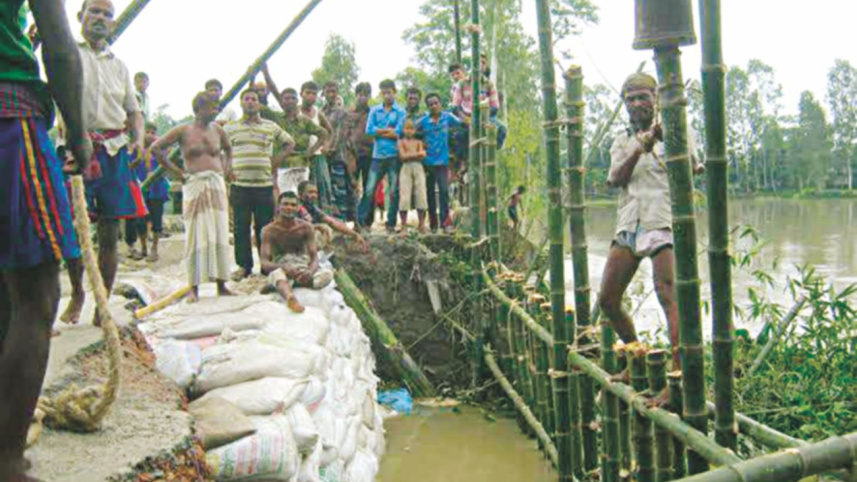 Teesta-devours.jpg