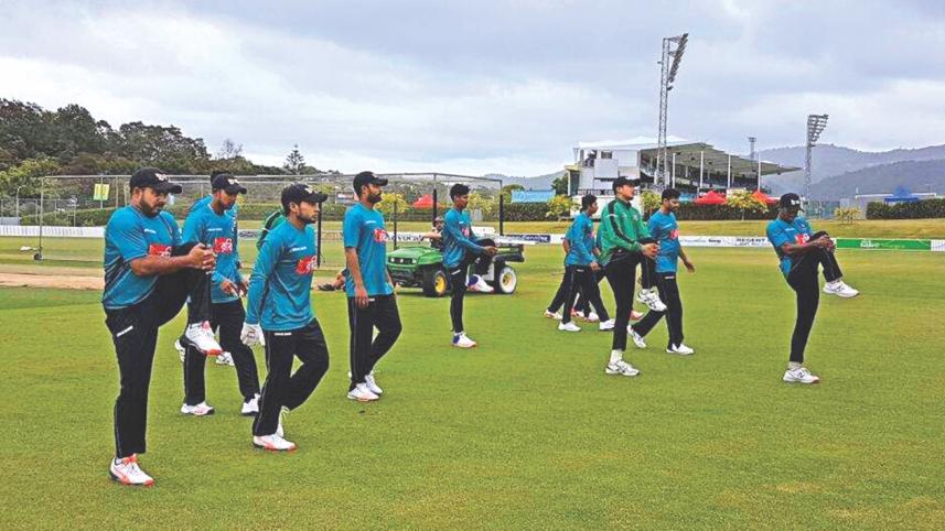 tigers in nz.jpg