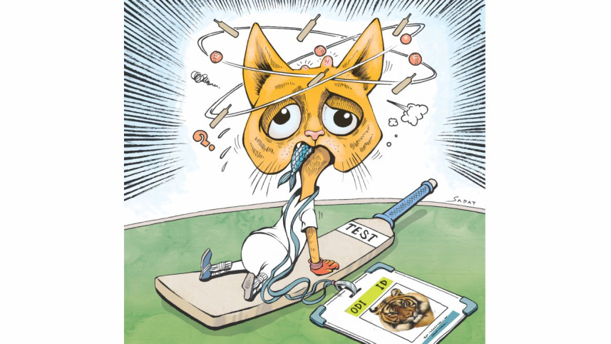 tigers in test.jpg
