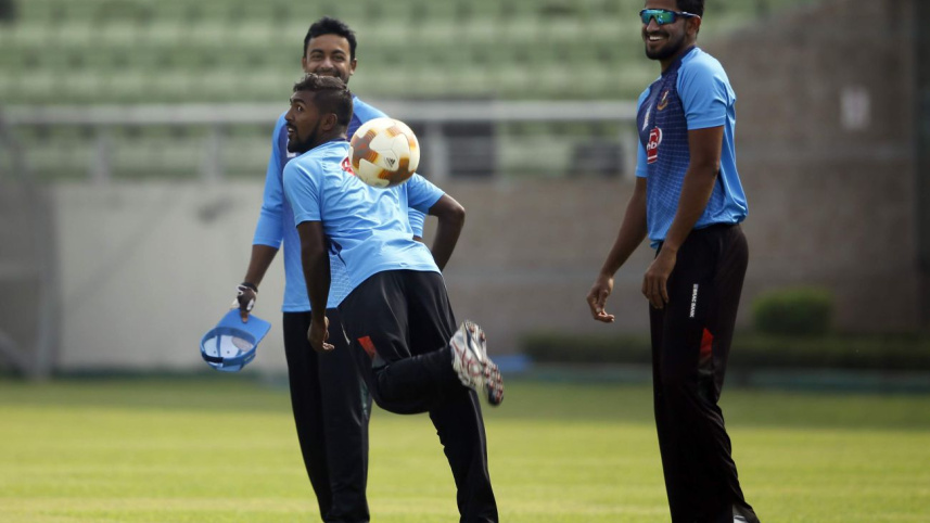 tigers in training.jpg
