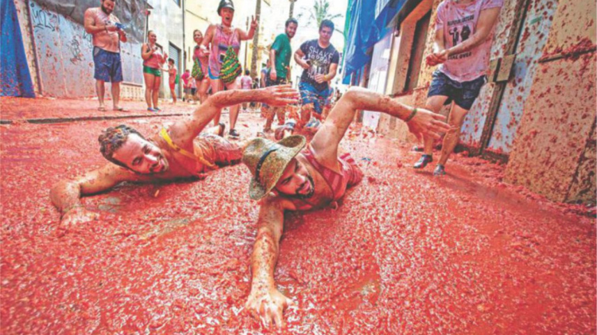 Tomato fest