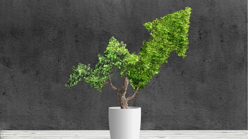 towards-green-economy.jpg