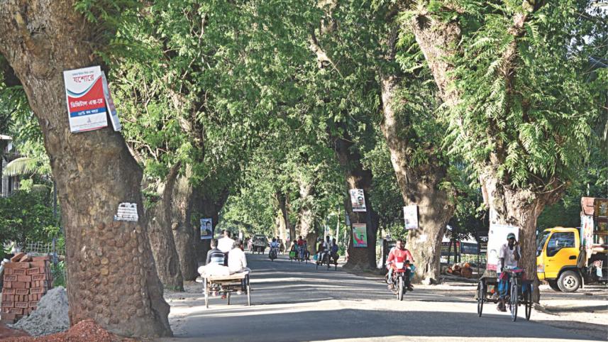 trees.jpg