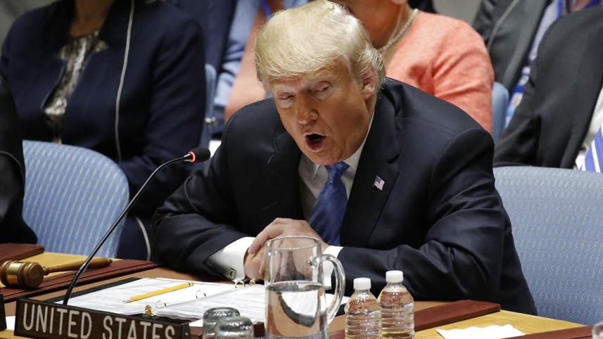 trum-web.jpg