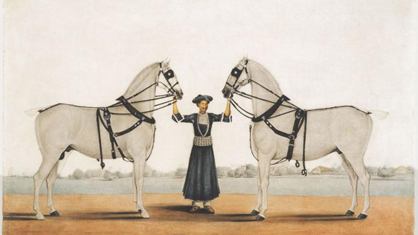 Two Carriage Horses