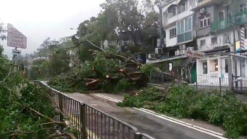 typhoon.jpg