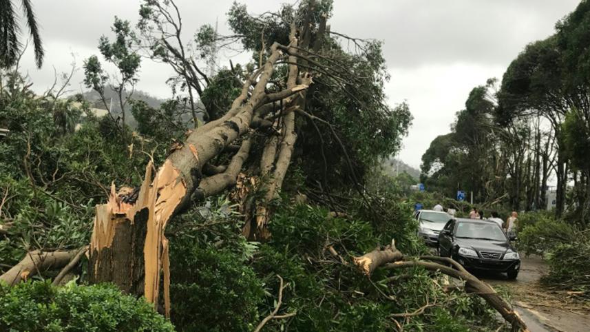 typhoon hato.jpg