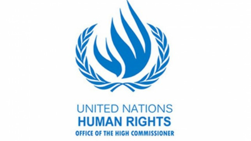 un_human_rights.jpg
