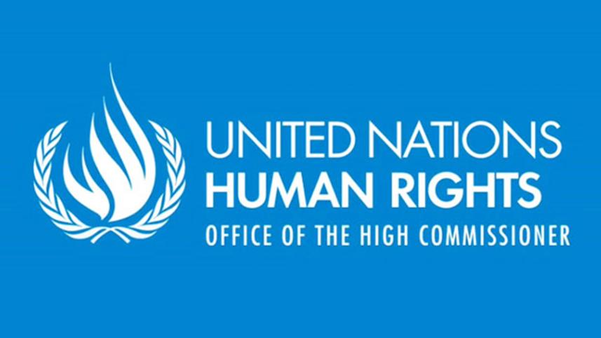 UN_humanrights.jpg