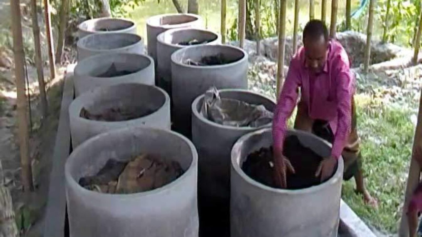 vermicompost.jpg