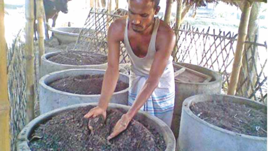 Vermicompost.jpg