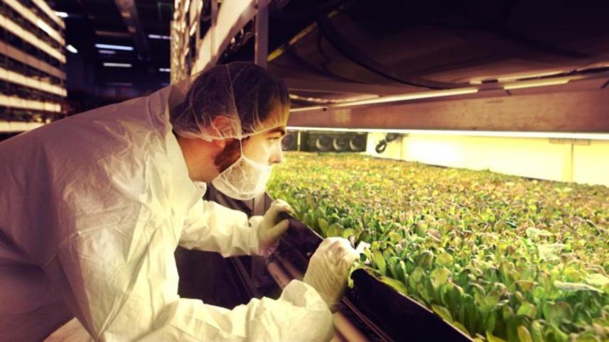 Vertical Farming