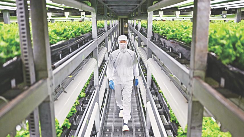 Vertical farming.jpg