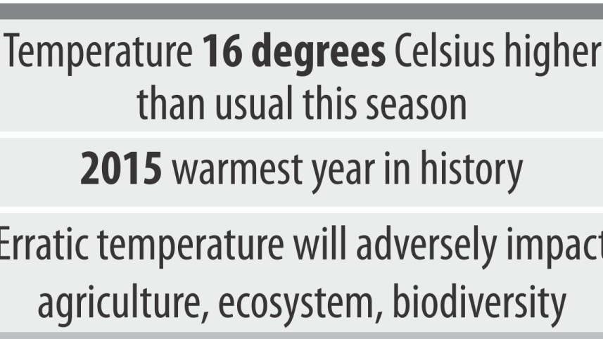 warmer winter.jpg