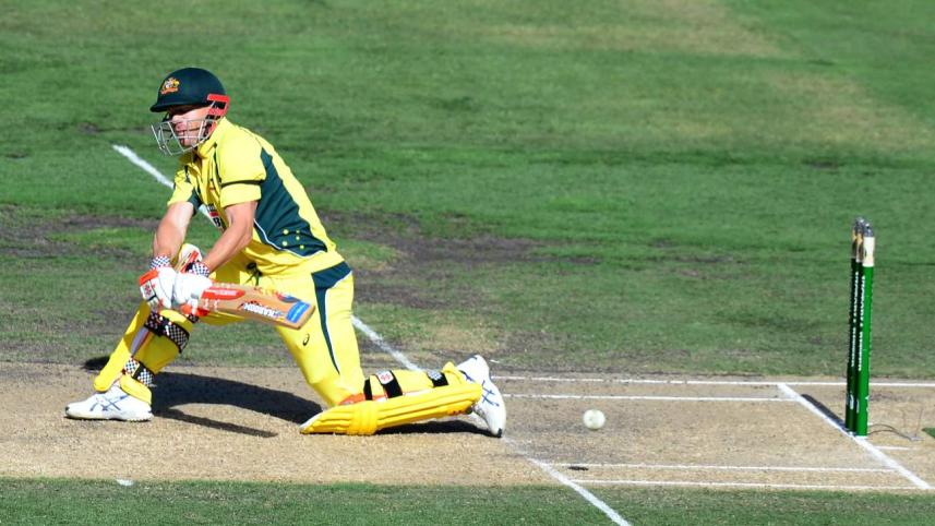 David Warner