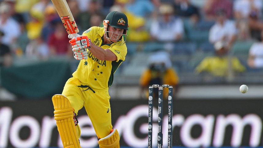 warner afg.jpg