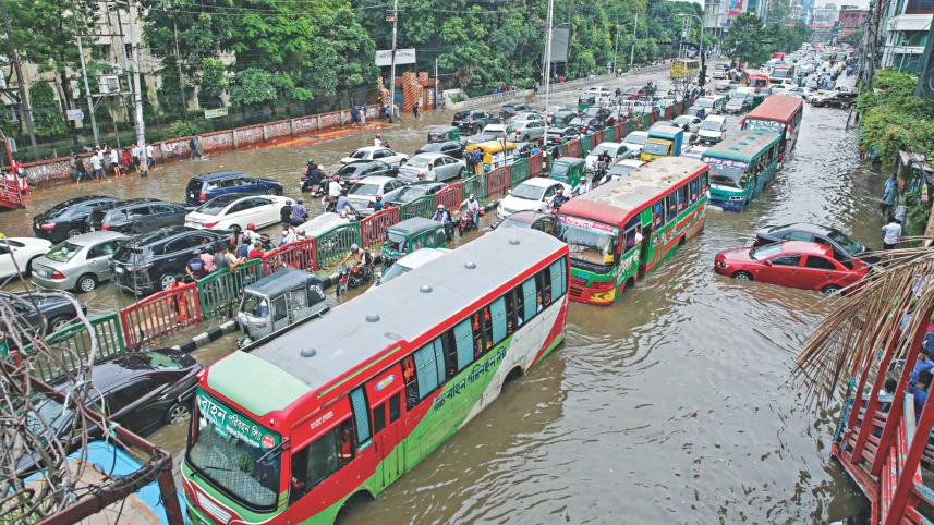 waterlogged.jpg