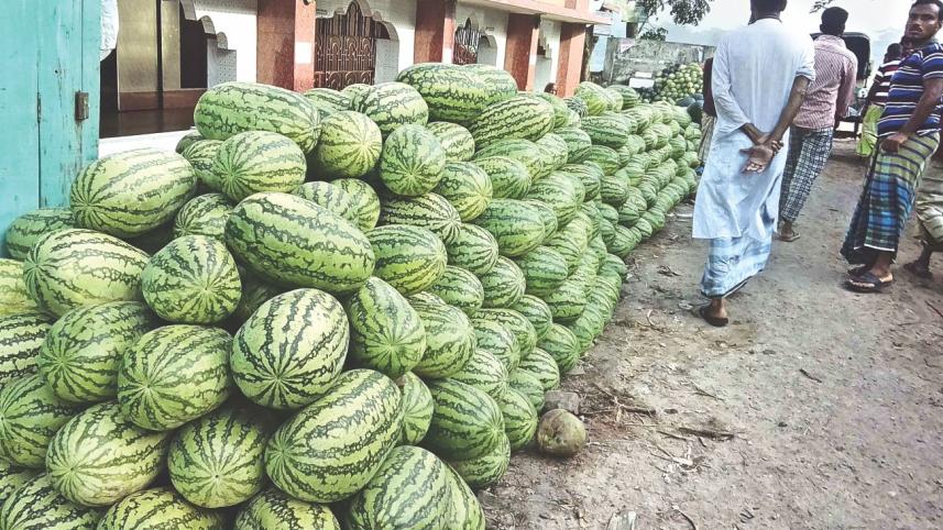 Watermelon
