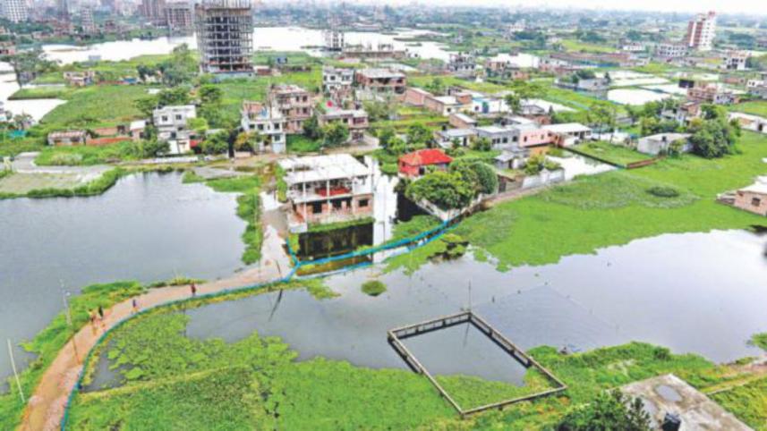 wetland.jpg