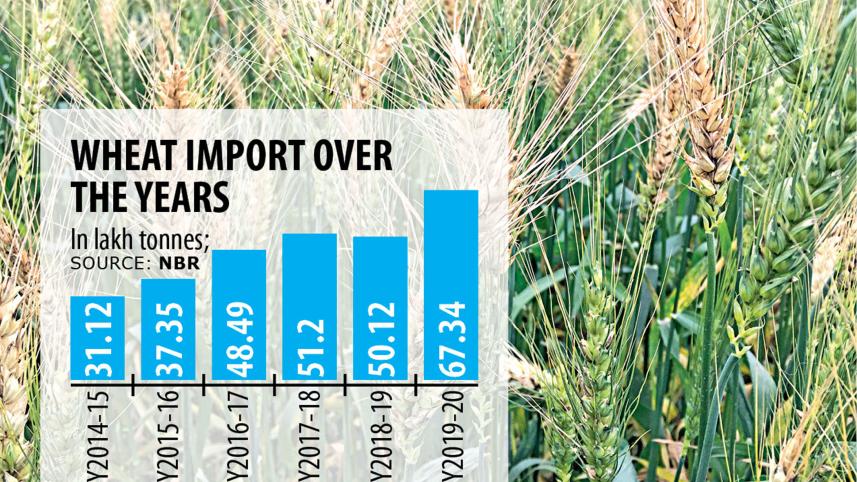 wheat.jpg