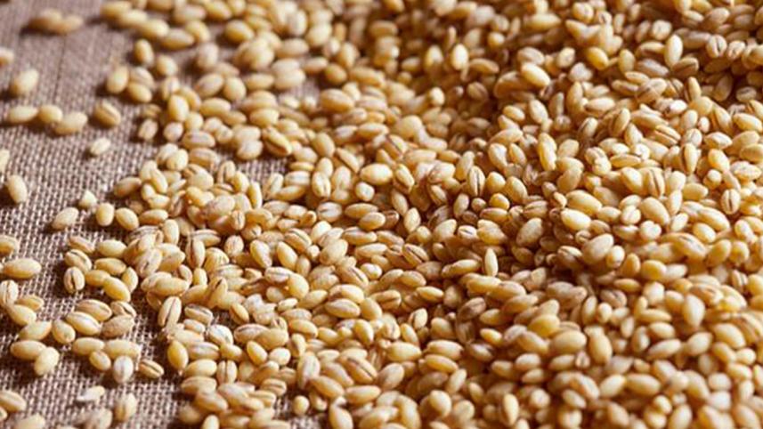 wheat new.jpg