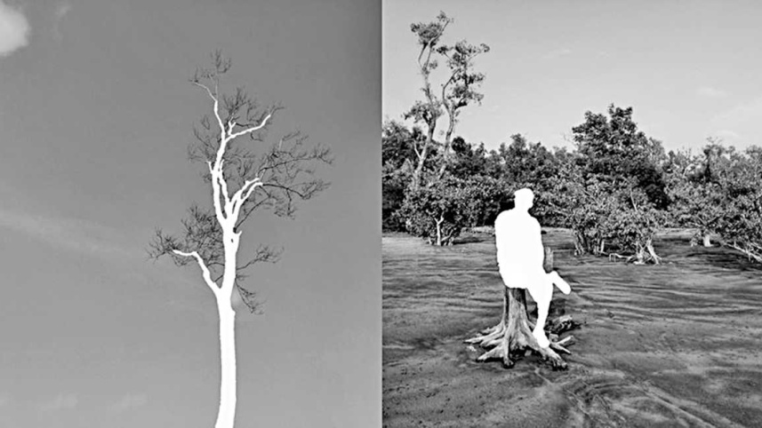 White Memories