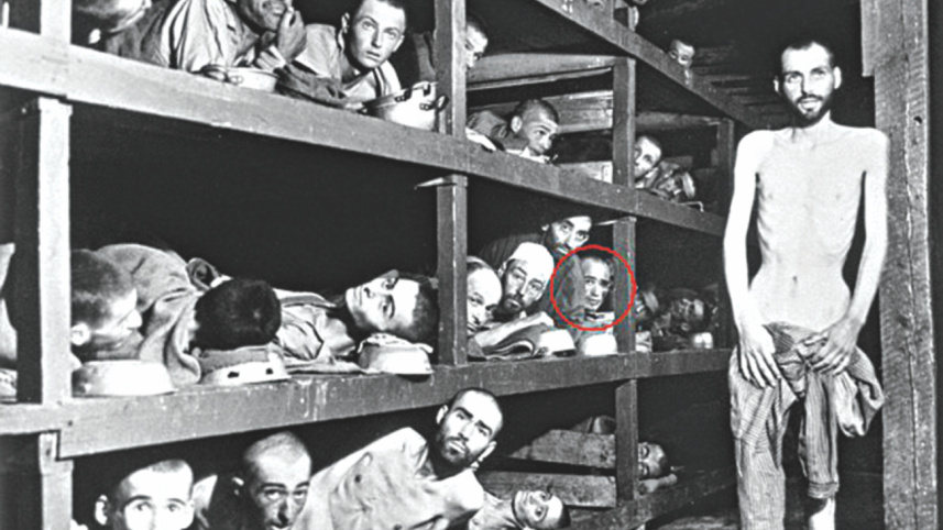 Wiesel 1.jpg