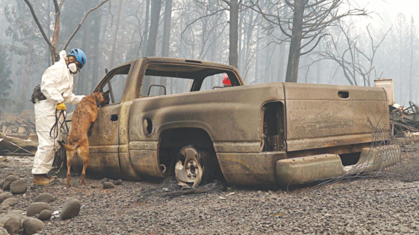 wildfire.jpg