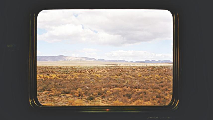 window.jpg
