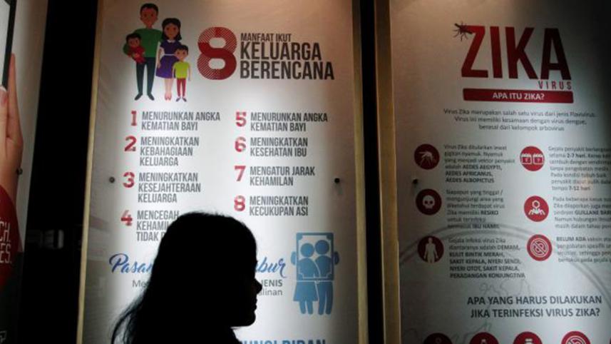 World Health Organization (WHO), Zika virus, Zika emergency