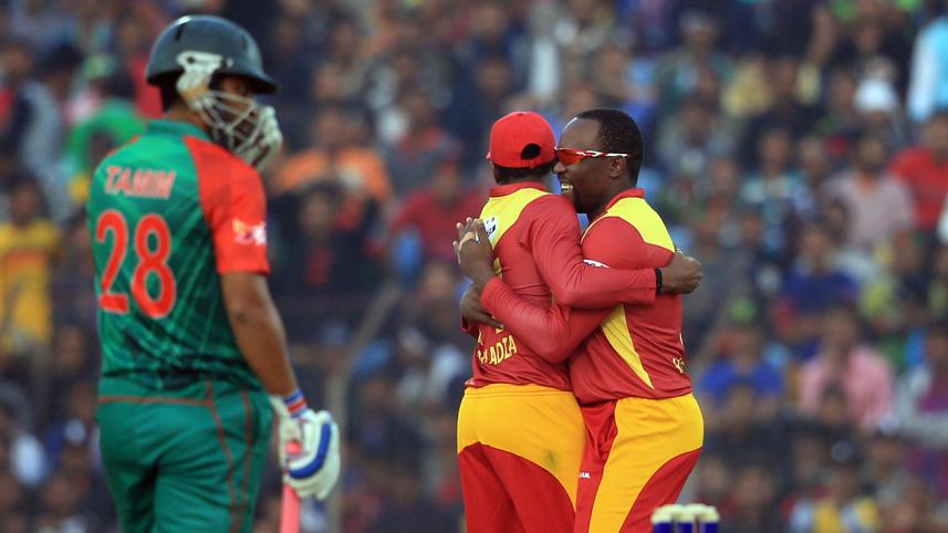 ZIM-BALL.jpg-NS.jpg
