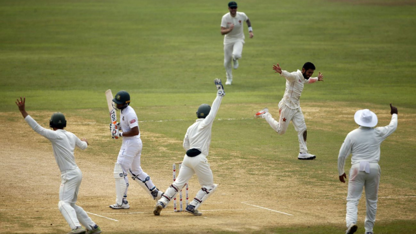 zim win.jpg