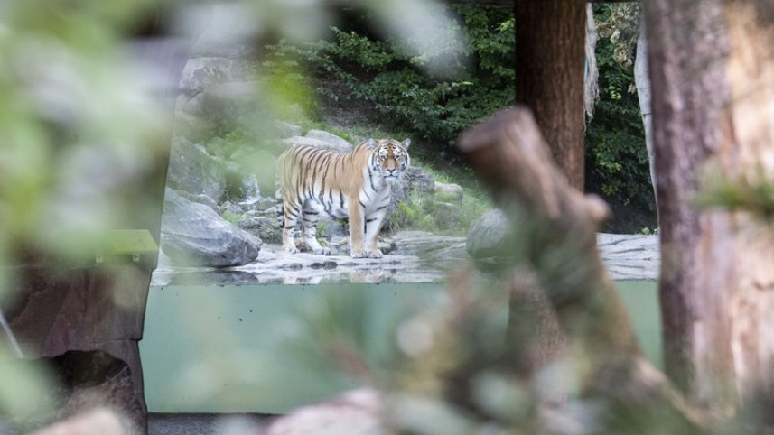 Zoo.jpeg