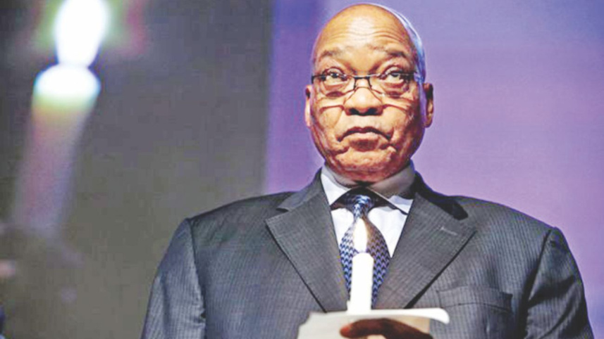 zuma.jpg