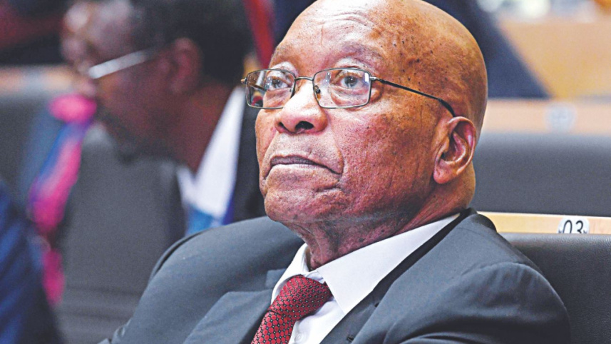 zuma.jpg