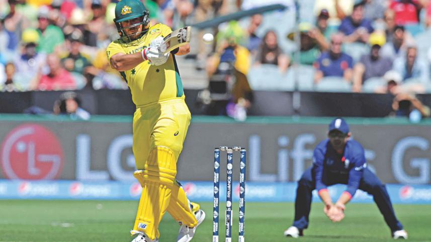 finch-captured-the-centre.jpg