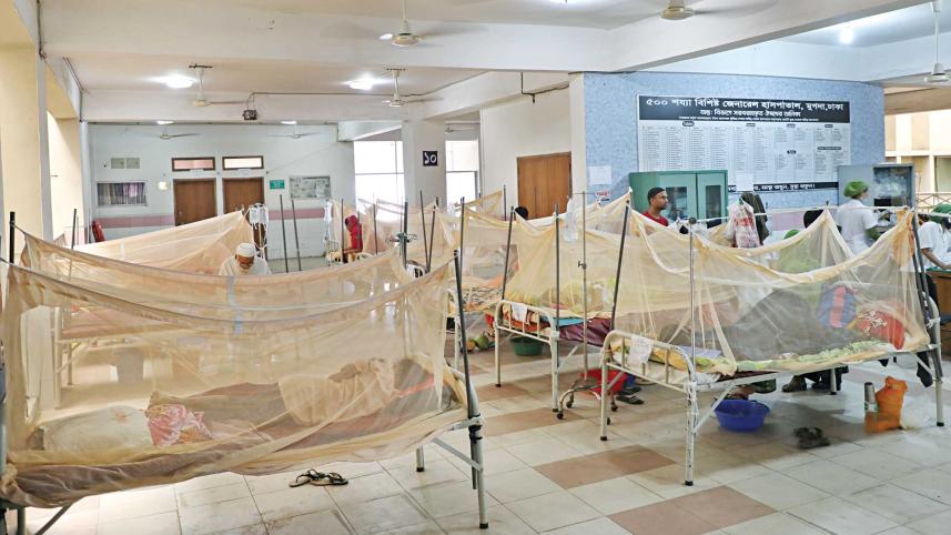 dengue.jpg