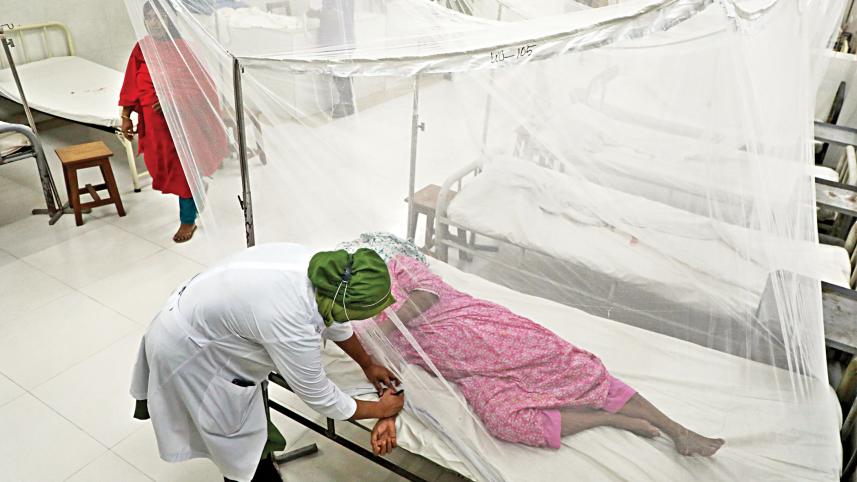 dengue.jpg