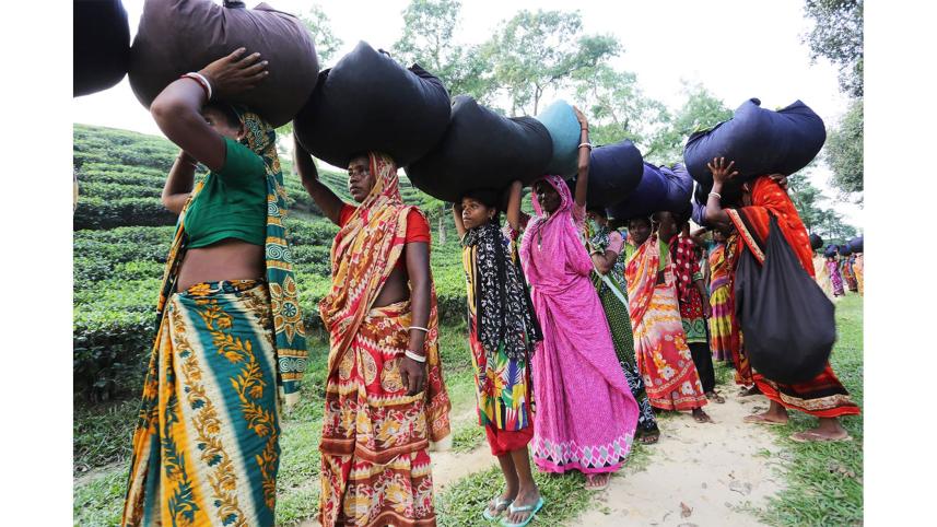 tea-workers-wage.jpg