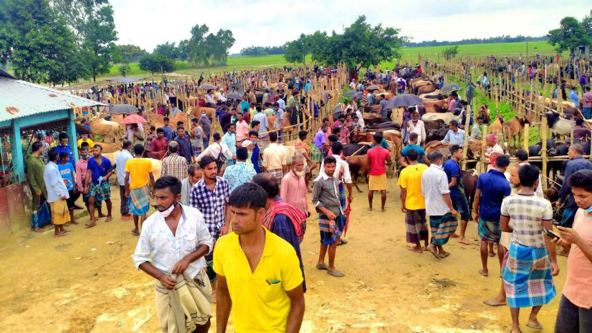 lockdown-paper-cattle-market.jpg