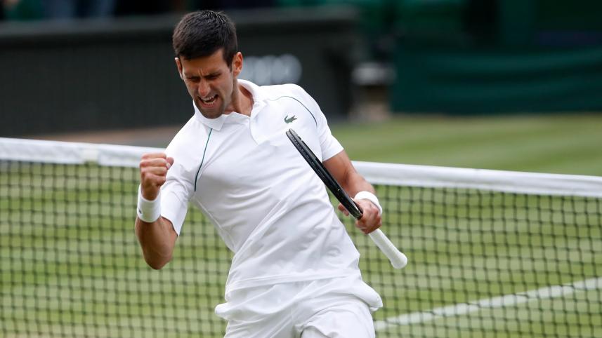djoco.jpg