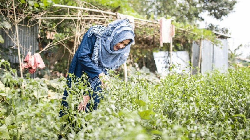 umme_habiba_2.jpg
