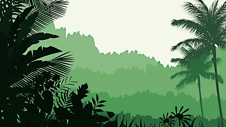 borneo-island.jpg