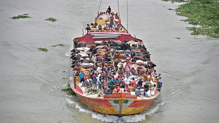 boat.jpg