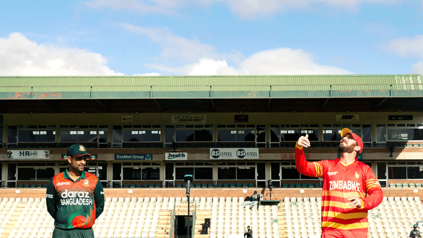 tamim-taylor.gif
