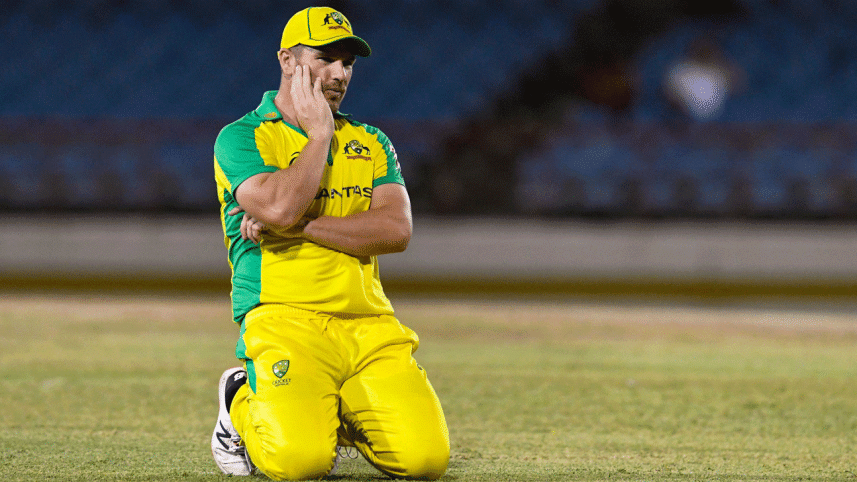 finch.gif
